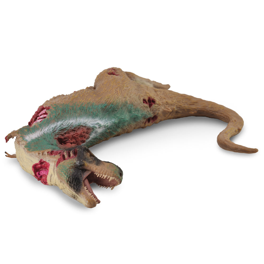 Tyrannosaurus Corpse (3 Years +)