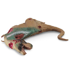Tyrannosaurus Corpse (3 Years +)
