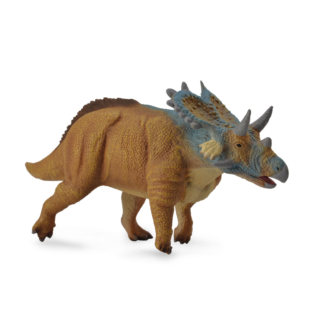 Mercuriceratops (3 Years +)