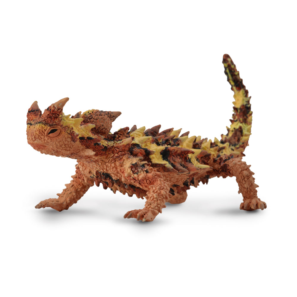 Thorny Dragon (3 Years +)