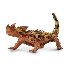 Thorny Dragon (3 Years +)