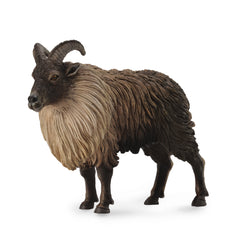 Himalayan Tahr (3 Years +)