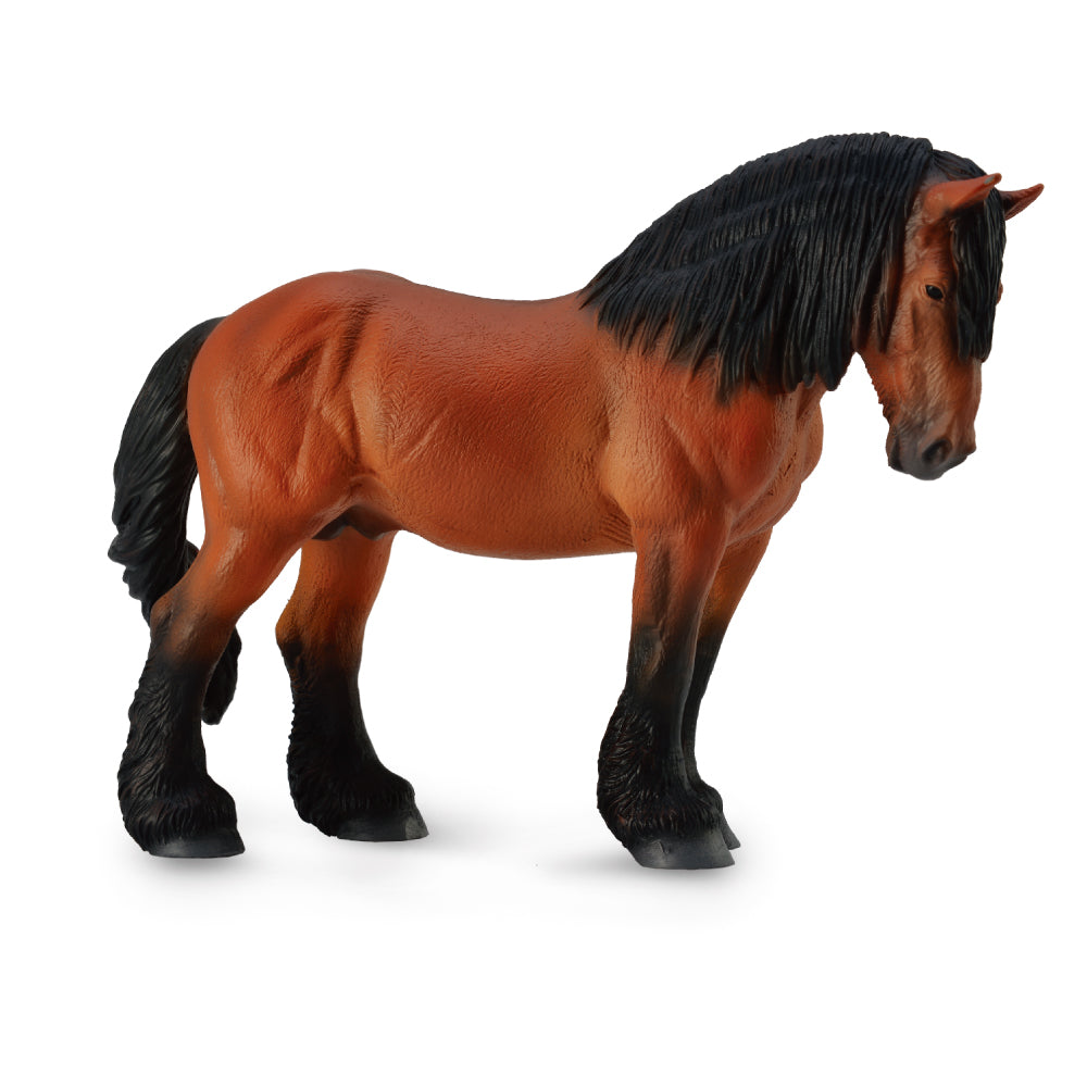Ardennes Stallion Bay (3 Years +)