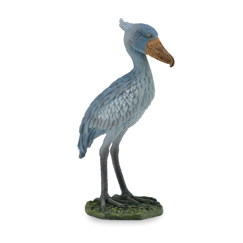 Shoebill (3 Years +)