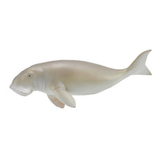Dugong (3 Years +)