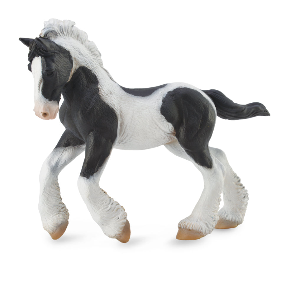 Gypsy Foal Black & White Piebald (3 Years +)