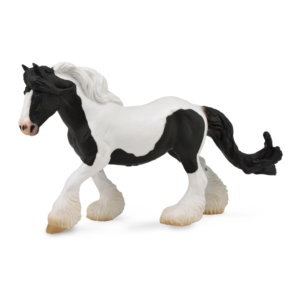 Gypsy Mare Black - White Piebald (3 Years +)