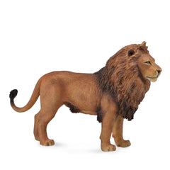 African Lion (3 Years +)
