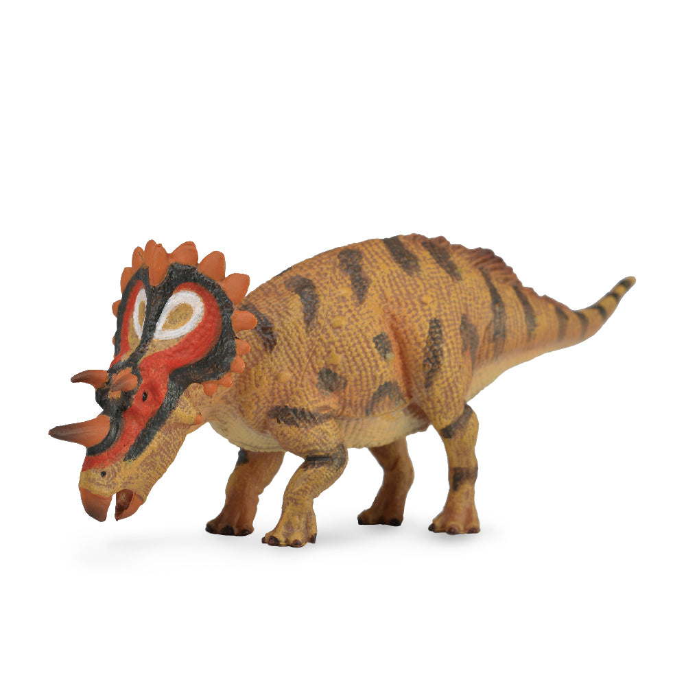 Regaliceratops (3 Years +)