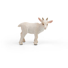 Goat Kid - Standing (3 Years +)