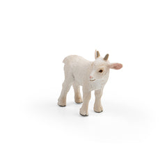 Goat Kid - Standing (3 Years +)