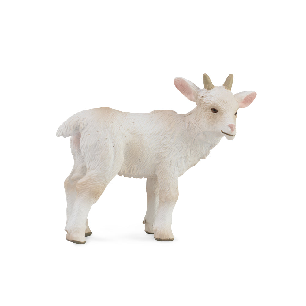 Goat Kid - Standing (3 Years +)