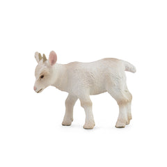 Goat Kid - Walking (3 Years +)