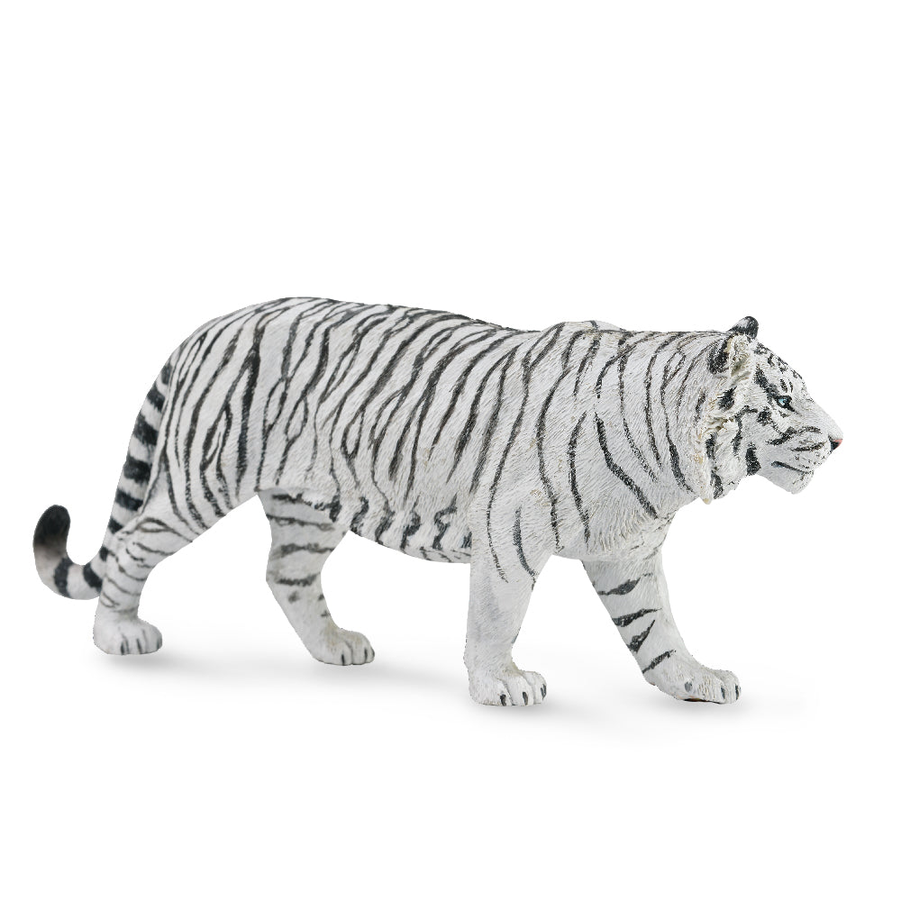 White Tiger (3 Years +)