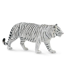 White Tiger (3 Years +)