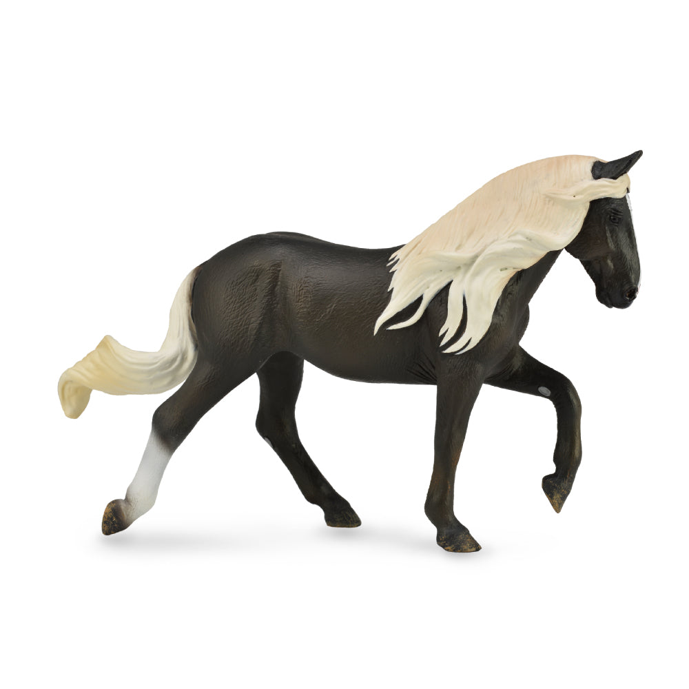 Rocky Mountain Mare ??? Chocolate (3 Years +)
