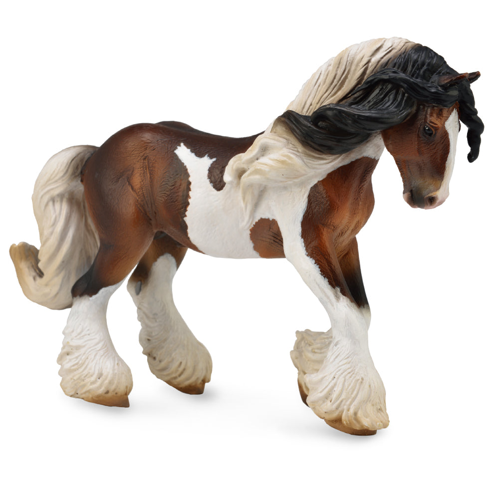 Tinker Stallion - Piebald (3 Years +)