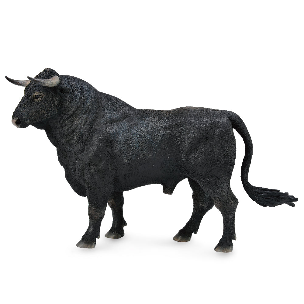 Spainish Fighting Bull ??? Standing (3 Years +)