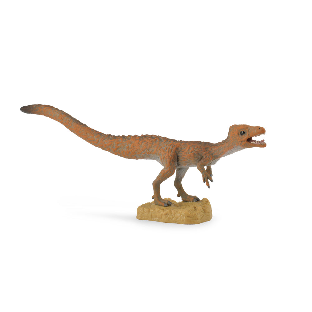 Sciurumimus (3 Years +)