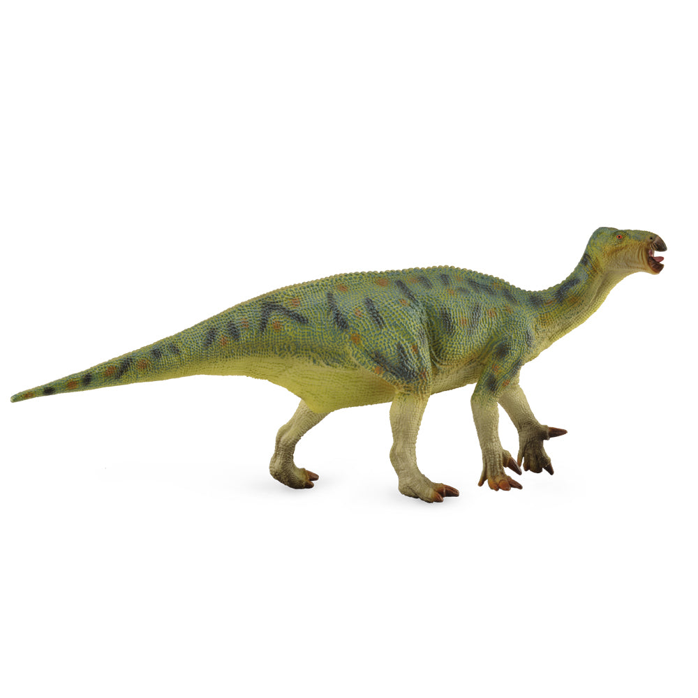 Iguanodon 1:40 Scale (Deluxe) (3 Years +)