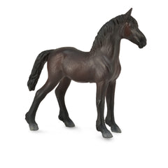 Friesian Foal - Black (3 Years +)