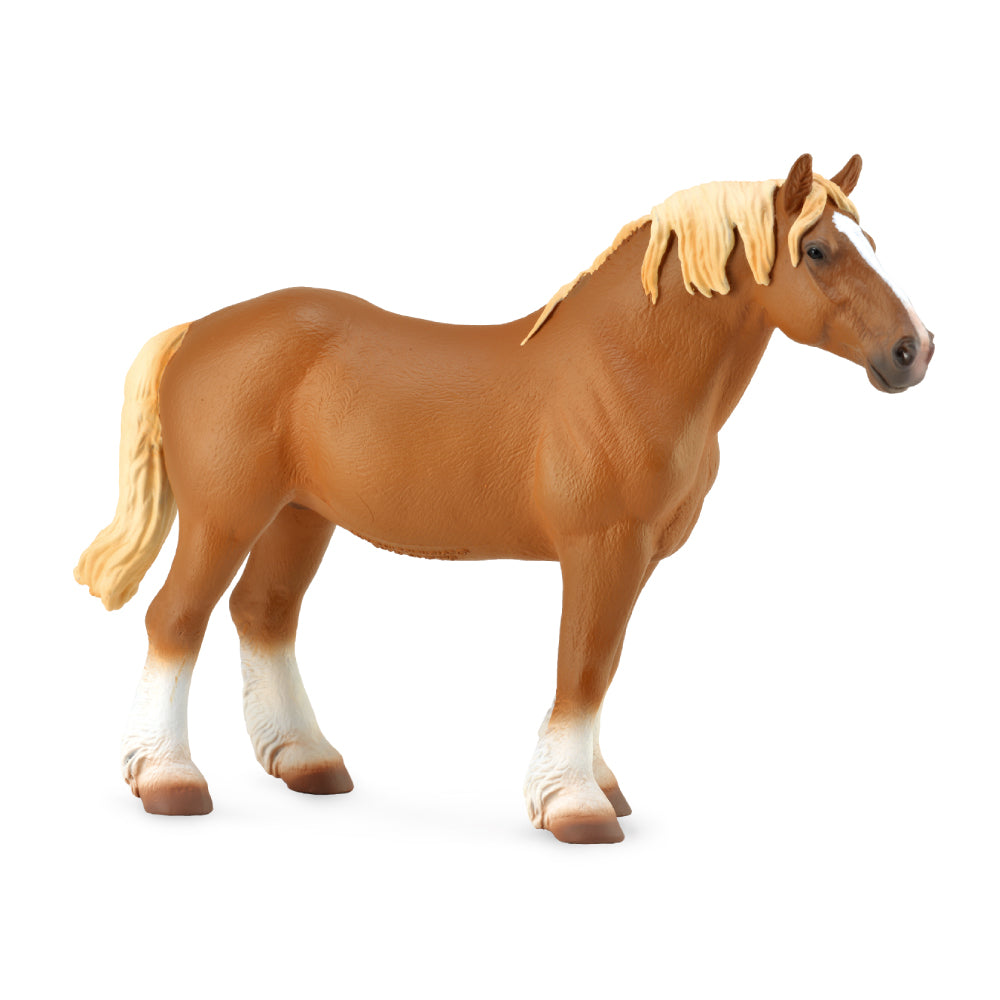 Belgian Mare Chestnut (3 Years +)