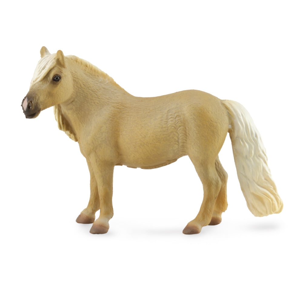 Falabella Mare Palomino (3 Years +)