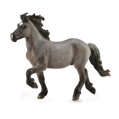 Icelandic Stallion - Blue Dun (3 Years +)