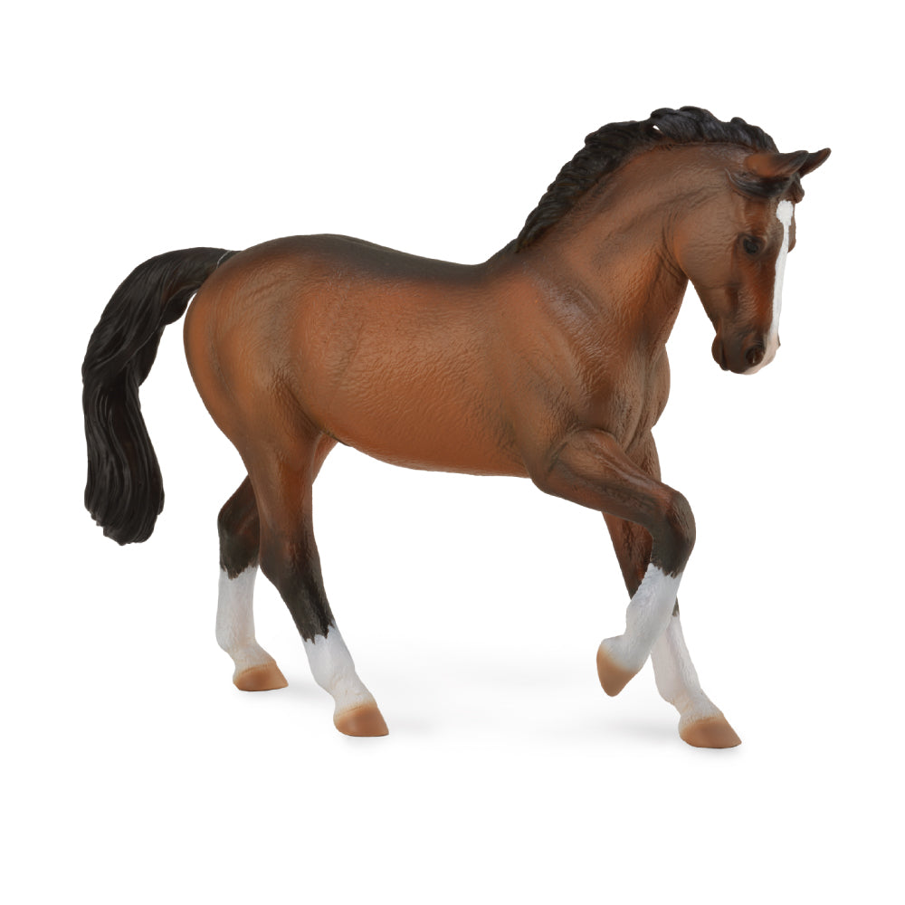 Warmblood Stallion - Bay (3 Years +)
