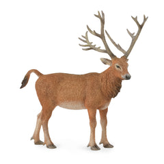 Pere David's Deer (3 Years +)