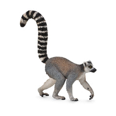Ring-Tailed Lemur (3 Years +)