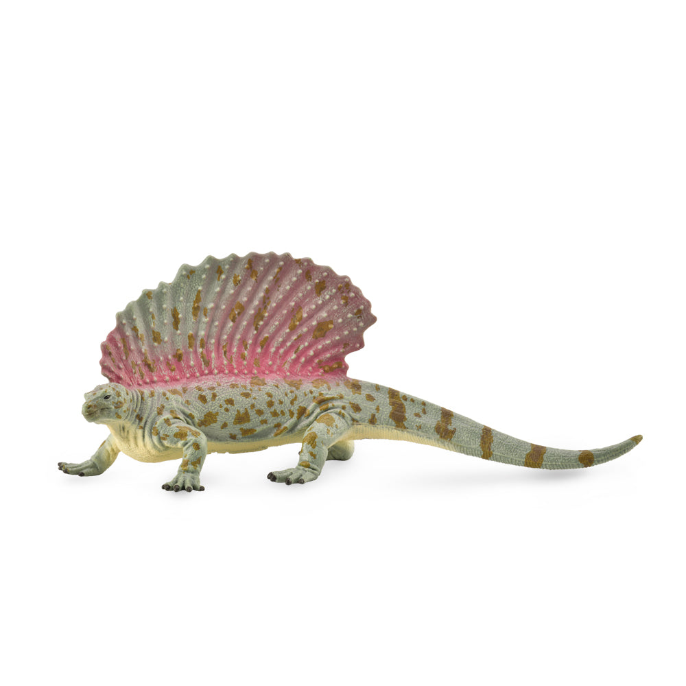Edaphosaurus (3 Years +)