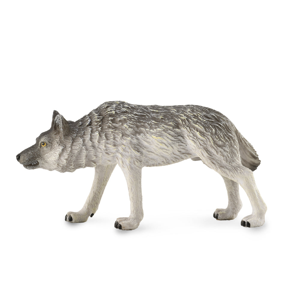Timber Wolf Hunting (3 Years +)