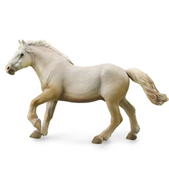 American Cream Draft Stallion - Cream (3 Years +)