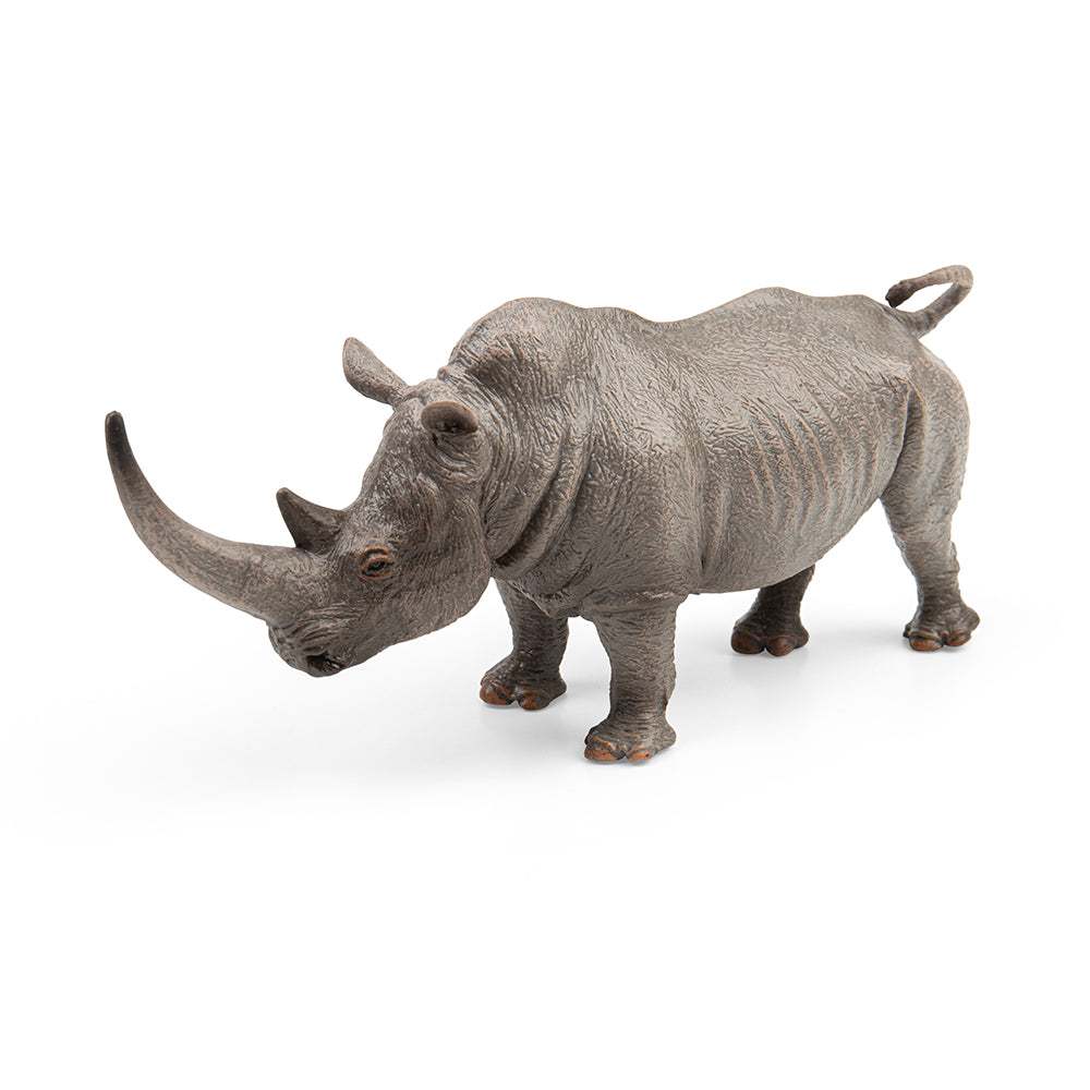White Rhinoceros (3 Years +)