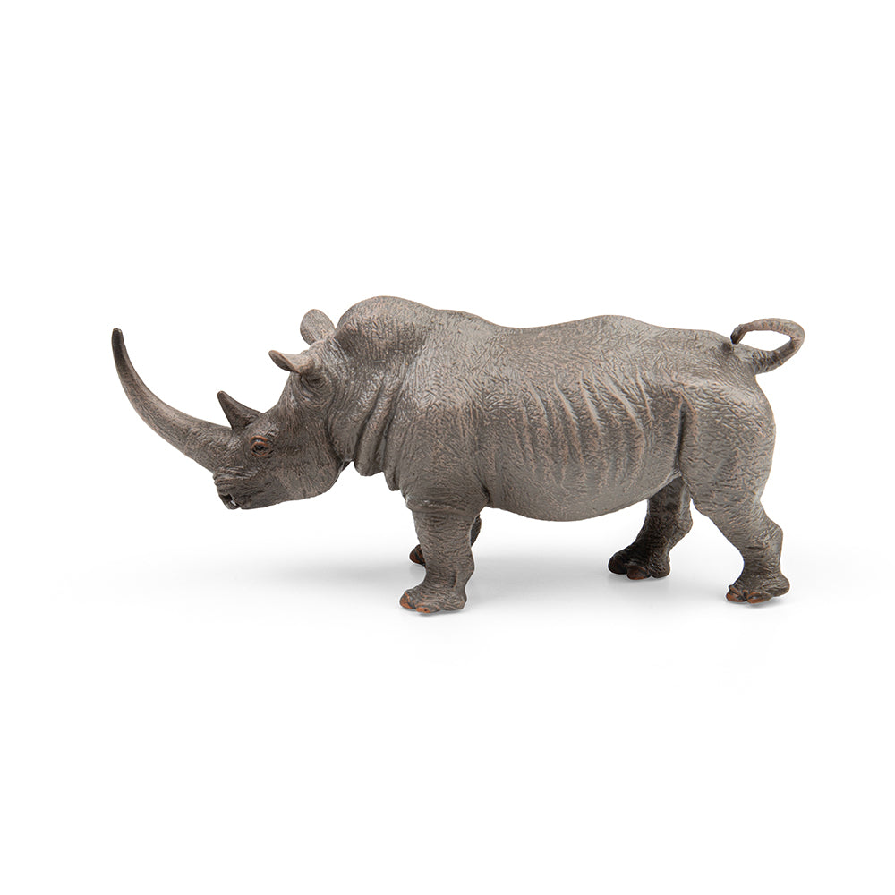 White Rhinoceros (3 Years +)
