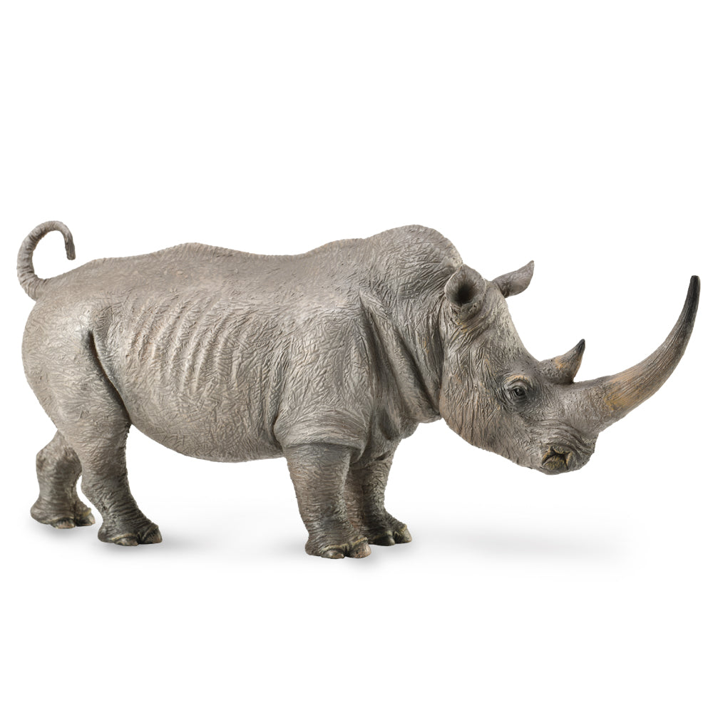 White Rhinoceros (3 Years +)