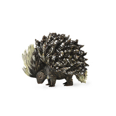 Porcupine (Indian Porcupine) (3 Years +)