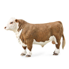 Hereford Bull (Polled) (3 Years +)