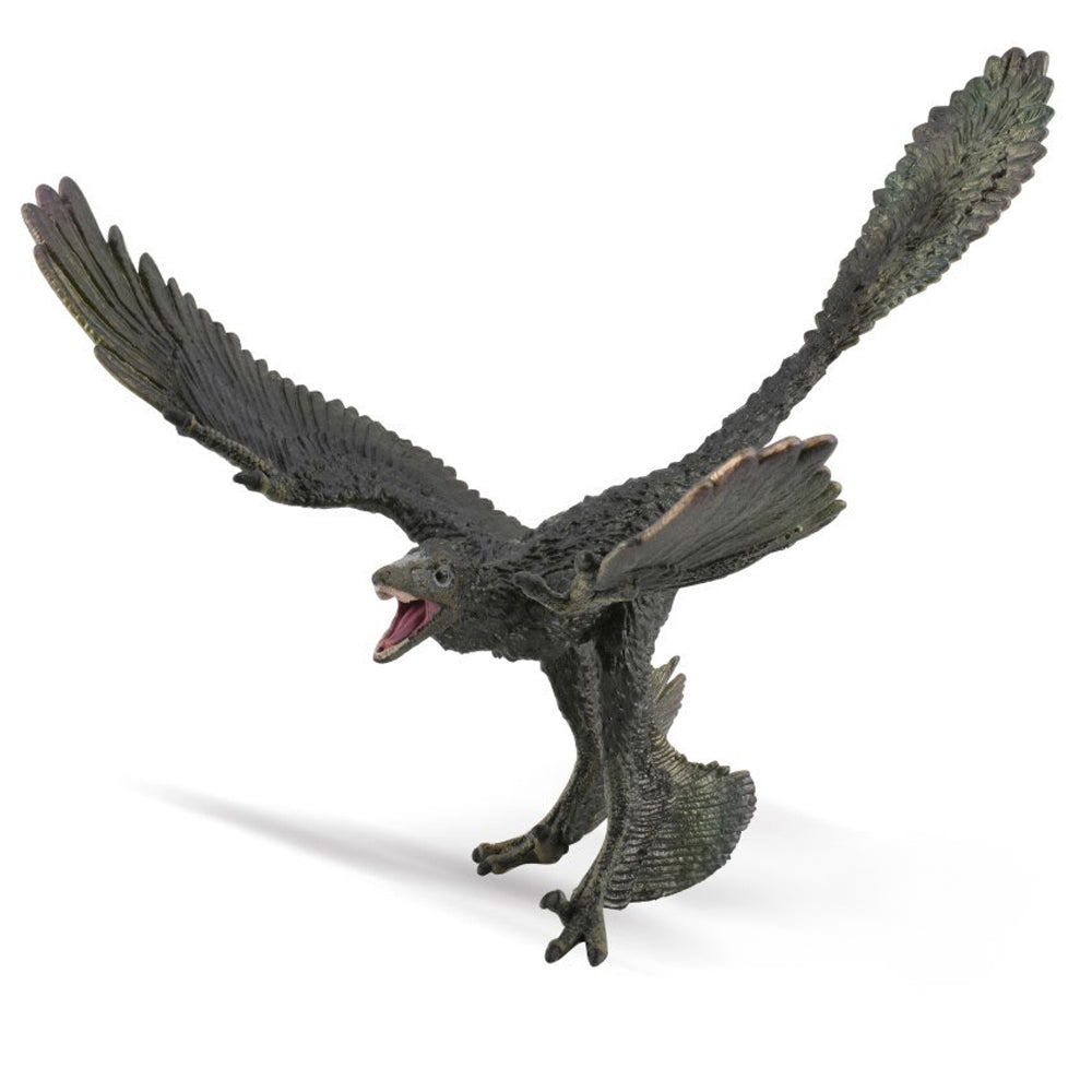 Microraptor- 1:6 Scale (3 Years +)
