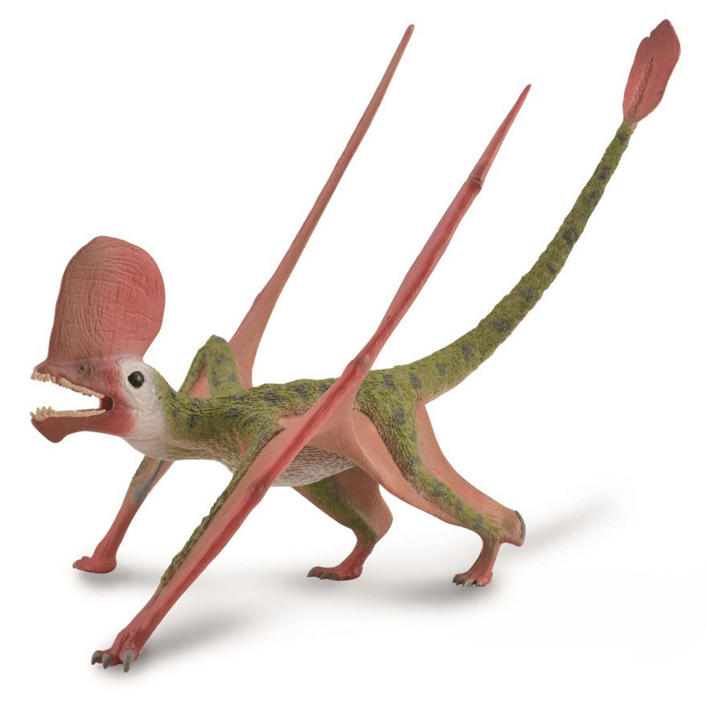 Caviramus with Movable Jaw - Deluxe 1: 2 Scale (3 Years +)