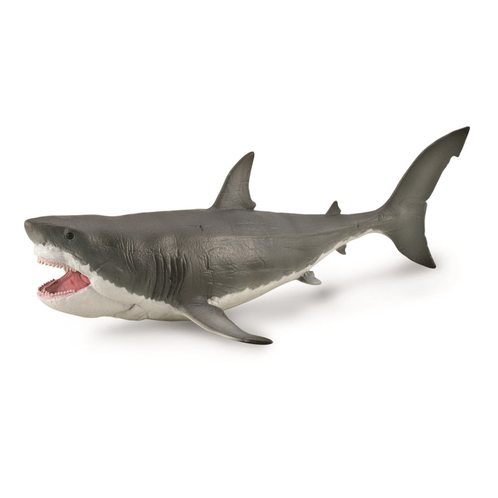 Megalodon with Movable Jaw - Deluxe 1: 40 Scale (3 Years +)