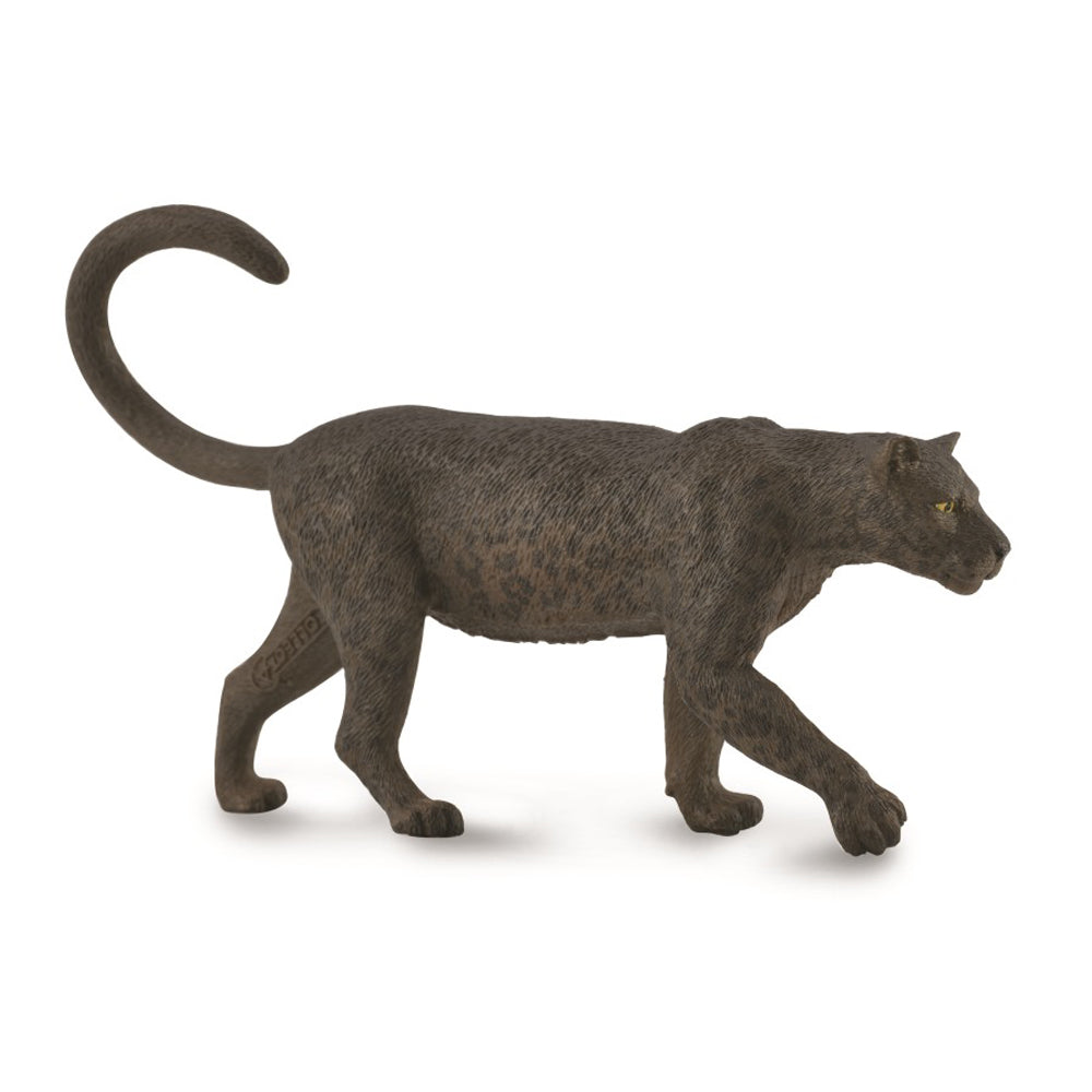 Black Leopard (3 Years +)