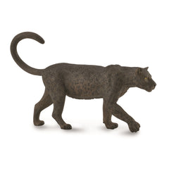 Black Leopard (3 Years +)