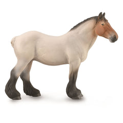 Dutch Draft Mare Roan (3 Years +)