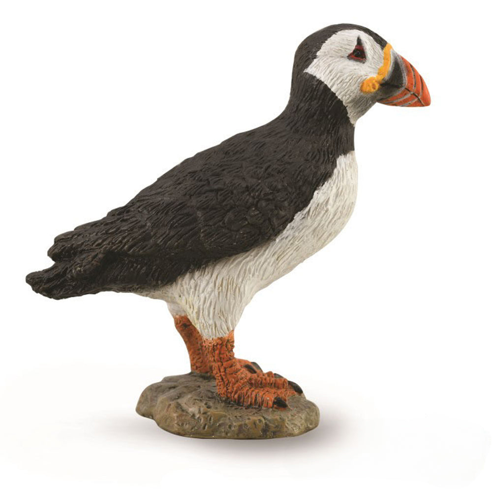 Puffin (3 Years +)