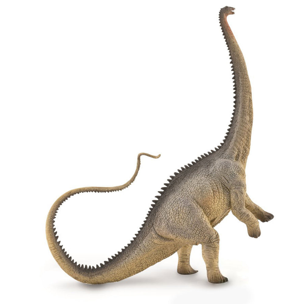 Diplodocus - Grey (3 Years +)