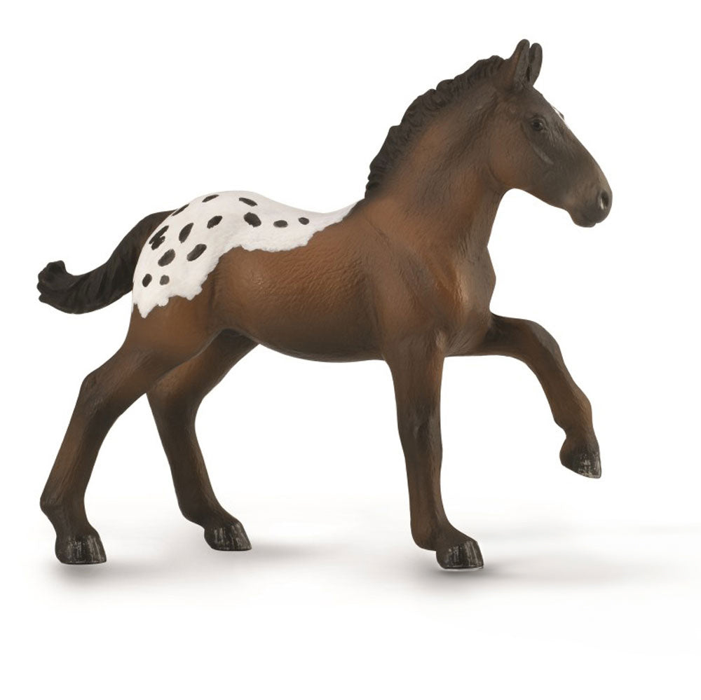 Sugarbush Draft Foal (3 Years +)
