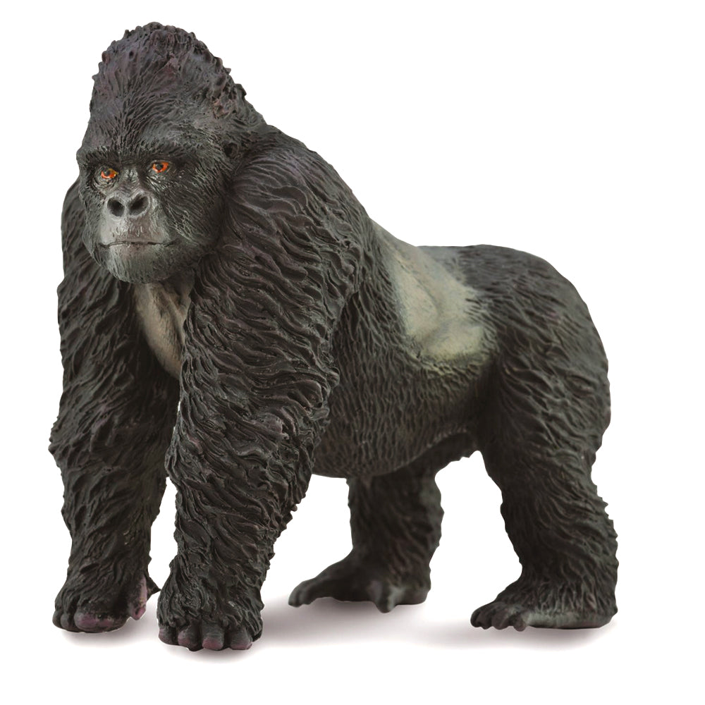 Mountain Gorilla (3 Years +)