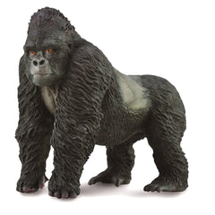 Mountain Gorilla (3 Years +)
